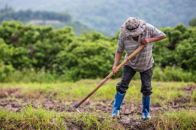 Sustainable farming practices